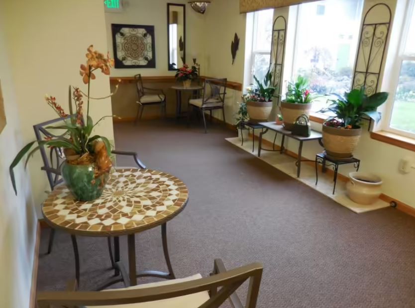 A cozy waiting room with chairs, a table, and decorative plants.