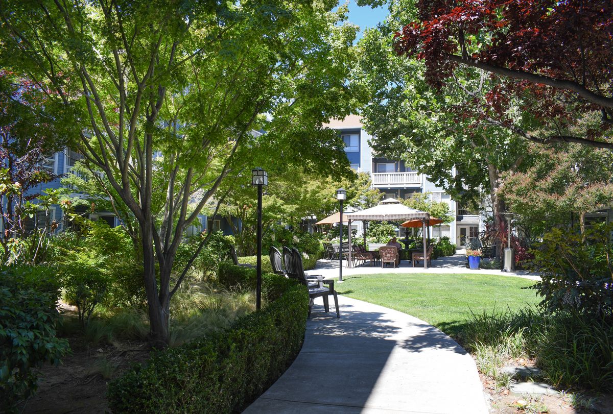 A peaceful park scene with a pathway, benches, and lush greenery under the sunlight.