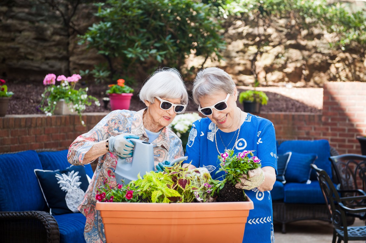 Two people enjoying gardening together in the sunshine.