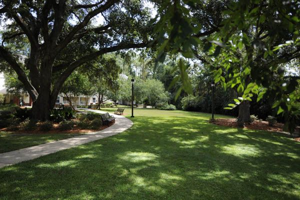 Allegro   Tallahassee