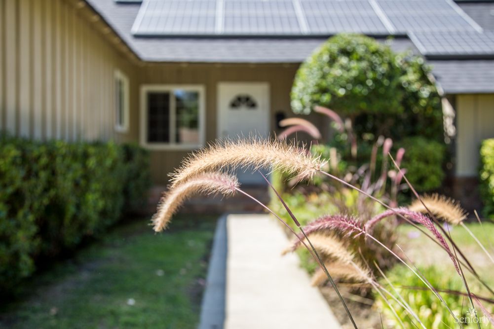 A home with solar panels on the roof, featuring a well-maintained front yard and pathway lined with ornamental grasses.