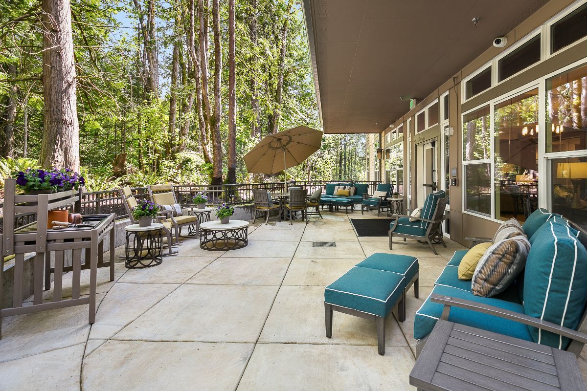 A spacious outdoor patio furnished with comfortable seating and surrounded by a forest.