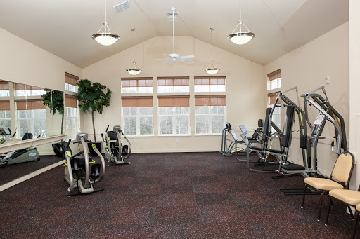 A spacious gym equipped with various exercise machines and ample natural light.