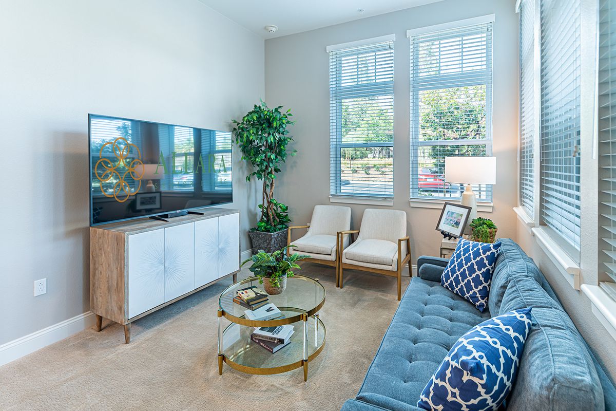 A modern living room with a comfortable sofa, flat-screen TV, and stylish decor.