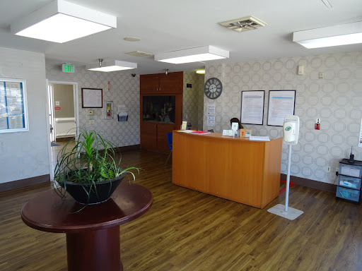 A well-lit reception area featuring wooden furniture and decorative plants.