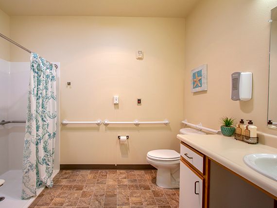 An accessible bathroom with a shower and grab bars.