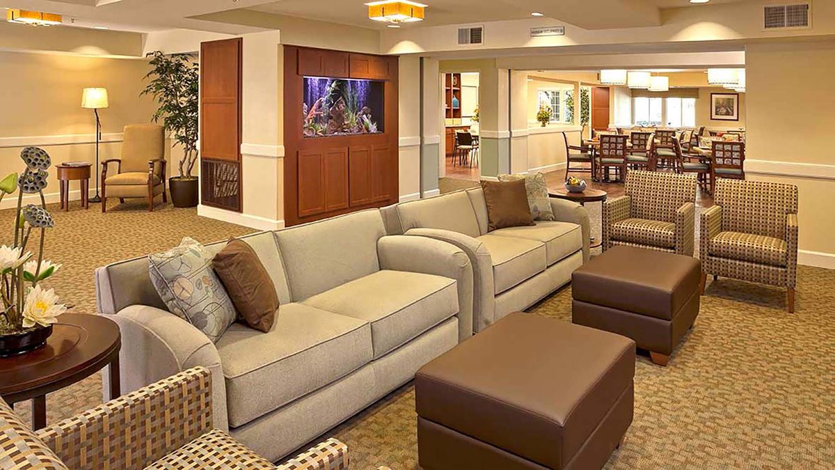 A cozy living room with comfortable sofas, a fish tank, and stylish decor.