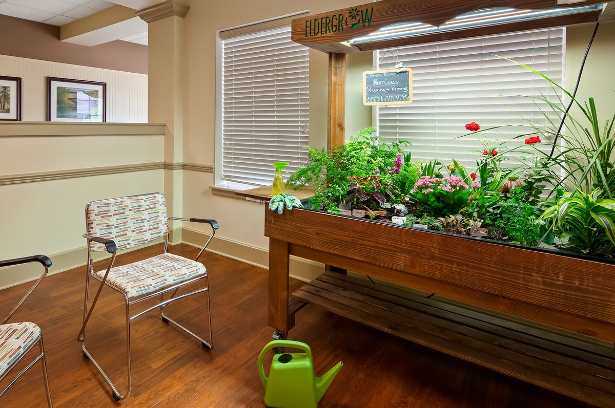 An indoor garden setup with a wooden planter filled with various plants, accompanied by a watering can and a chair, near window blinds.