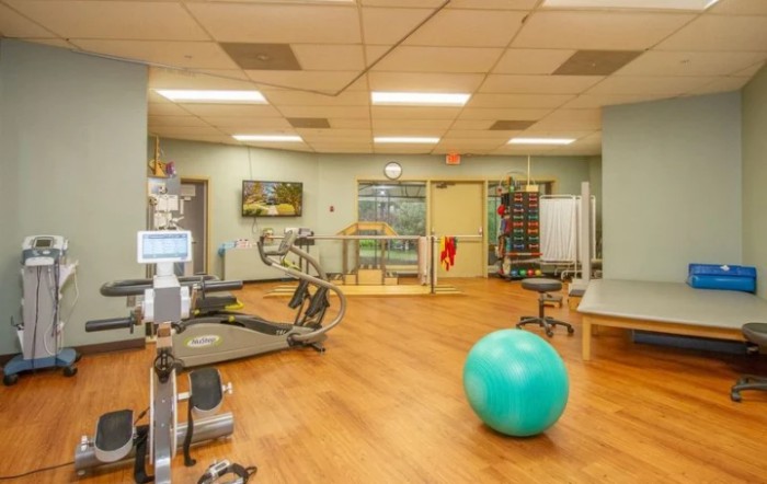 A well-equipped fitness room featuring a treadmill, exercise bike, and a stability ball.