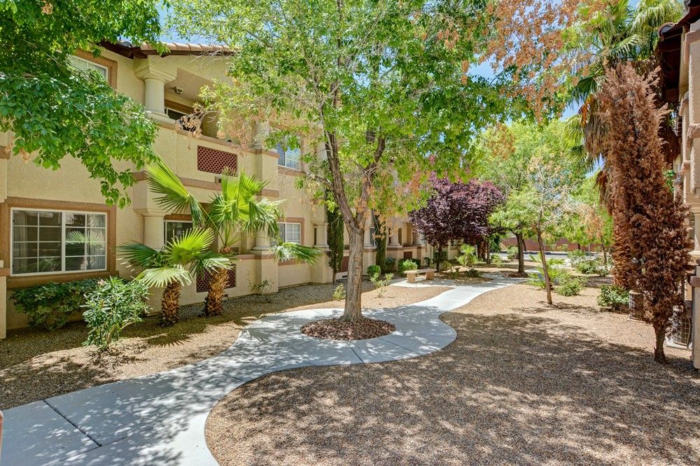 A sunny day at an apartment complex with a tree-lined pathway.