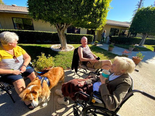 A sunny day spent outdoors with friends and a playful corgi.