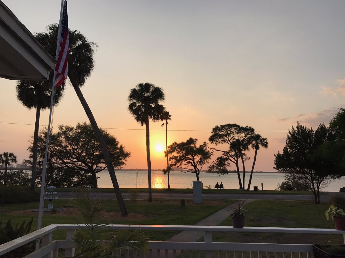 A serene sunset over the ocean with palm trees silhouetted against the colorful sky.