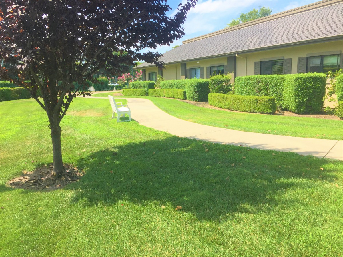 Sunny day at a landscaped garden with a winding pathway and well-maintained hedges.