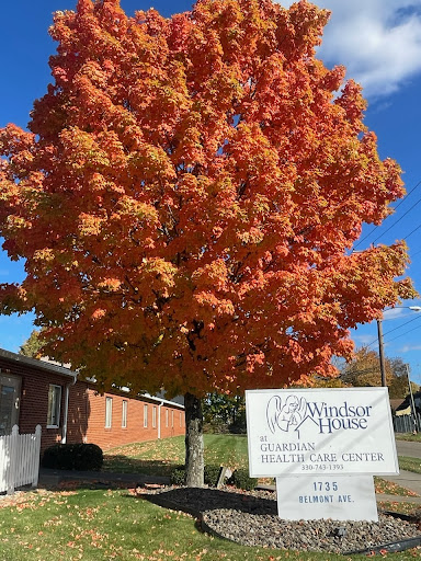 A vibrant maple tree showcasing its stunning fall colors against a clear blue sky.