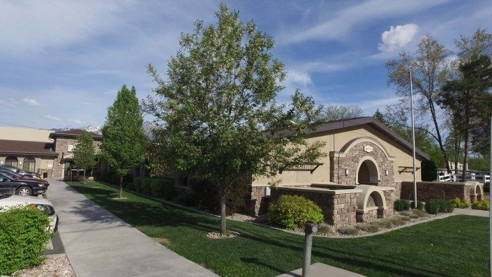 A residential building with a neatly landscaped lawn and sidewalk, featuring a prominent tree in the foreground.