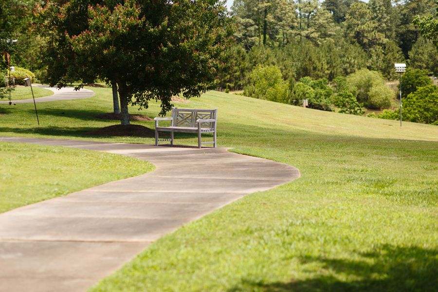 A peaceful park setting with a winding pathway and a bench surrounded by lush greenery.