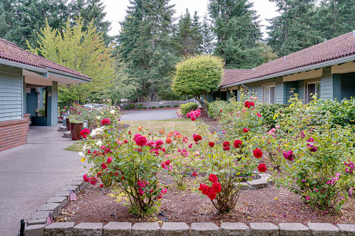 A serene garden filled with vibrant red roses, framed by lush greenery.