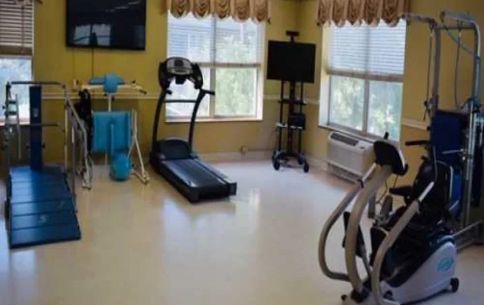 A well-lit gym with a treadmill and other workout equipment by the windows.