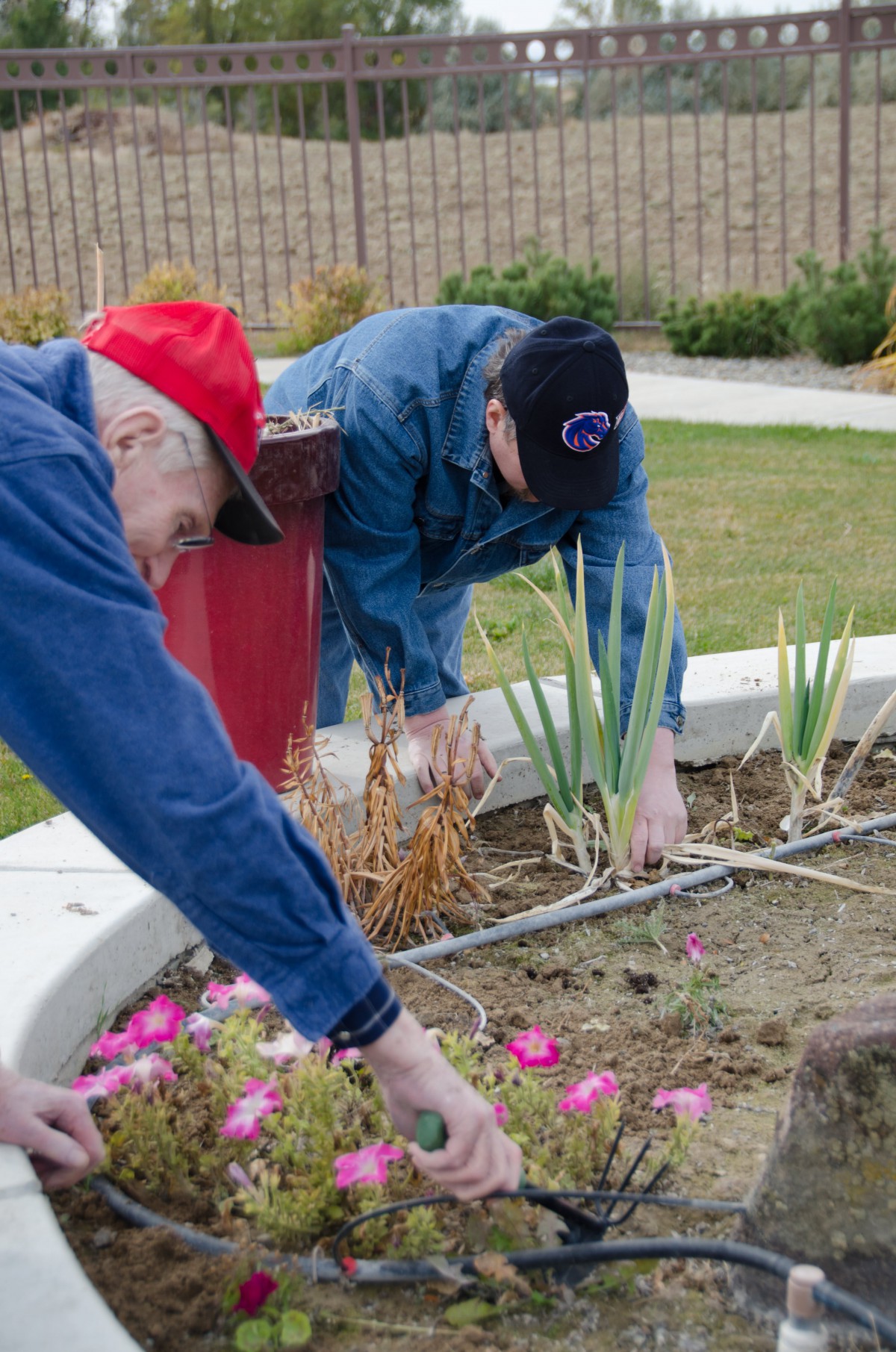 Two individuals tending to a garden bed together.