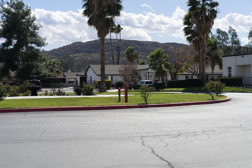 A suburban neighborhood with palm trees and a mountain in the background.