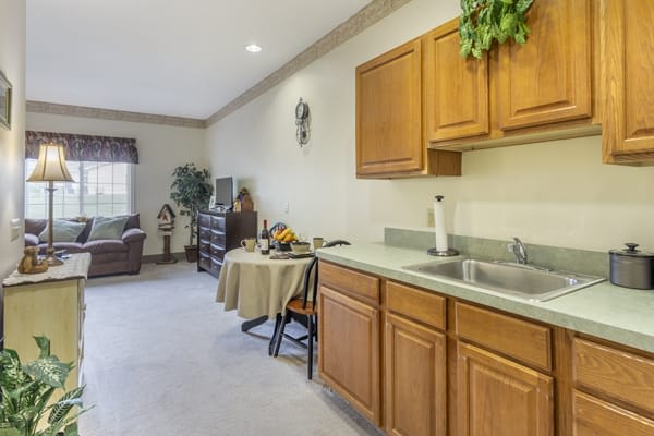 A cozy living space featuring a small kitchen area with wood cabinets and a sink, adjacent to a seating area with comfortable furniture.