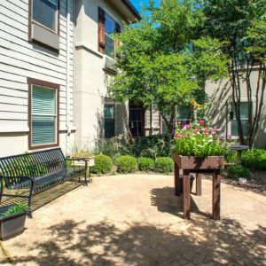 A tranquil garden space with a bench, surrounded by greenery on a sunny day.