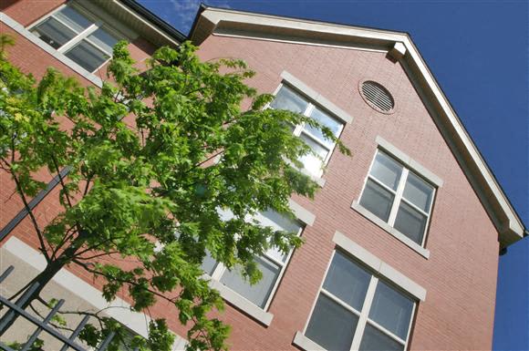 A brick residential building with multiple windows and a tree in the foreground under a clear blue sky.