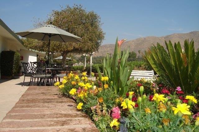 A serene garden with vibrant flowers, outdoor seating, and a picturesque landscape.