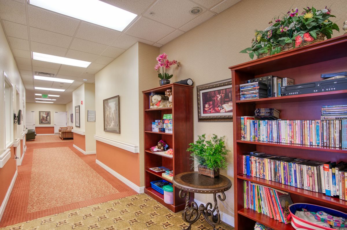 A library hallway with bookshelves and decorative plants.