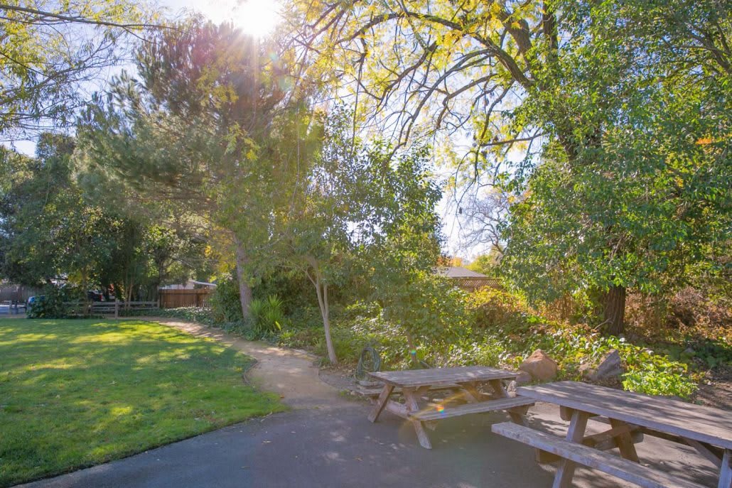 A sunny day in the park with benches and lush greenery.