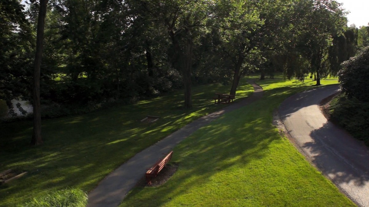A peaceful park scene with a winding pathway lined by benches and tall trees under dappled sunlight.