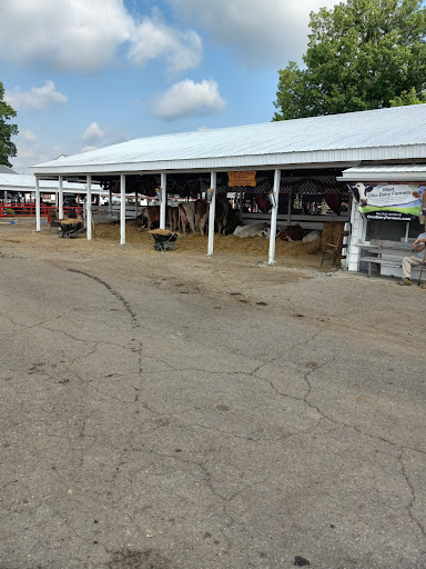 A view of the livestock area with barns and a pathway at a local fair.