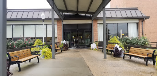 The entrance of a modern building featuring glass doors and landscaped surroundings.