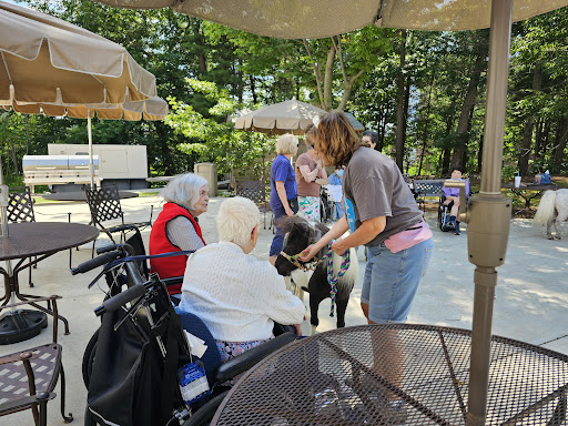 Elderly residents enjoy a visit from a friendly dog, fostering social connections and joy in an outdoor setting.