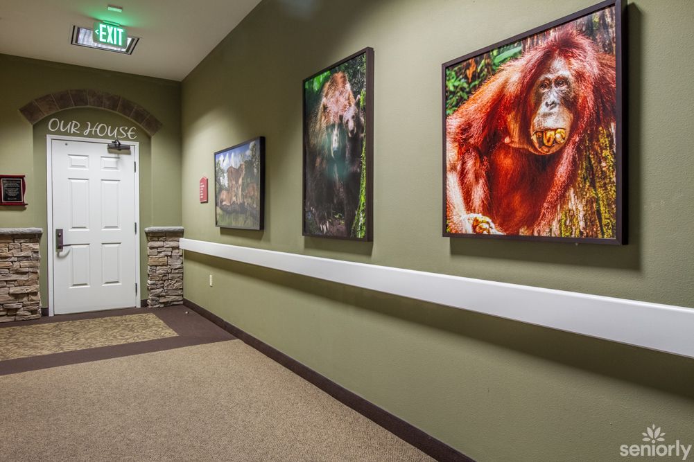 A hallway featuring framed animal portraits on the walls.