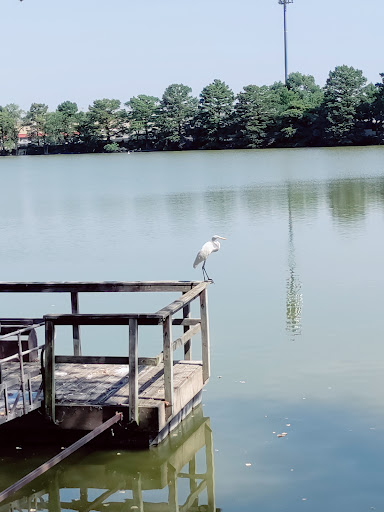 A serene view of a bird perched on a dock overlooking a calm lake surrounded by trees.