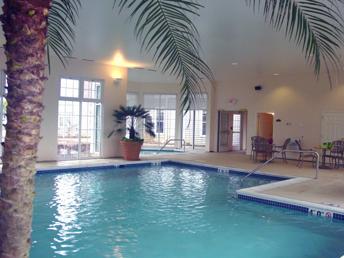 A serene indoor swimming pool with a palm plant and bright natural lighting.