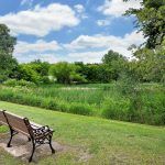 A peaceful park scene with a bench overlooking lush greenery and trees.