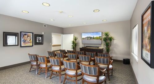 A small conference room with several rows of chairs facing a television, decorated with indoor plants.
