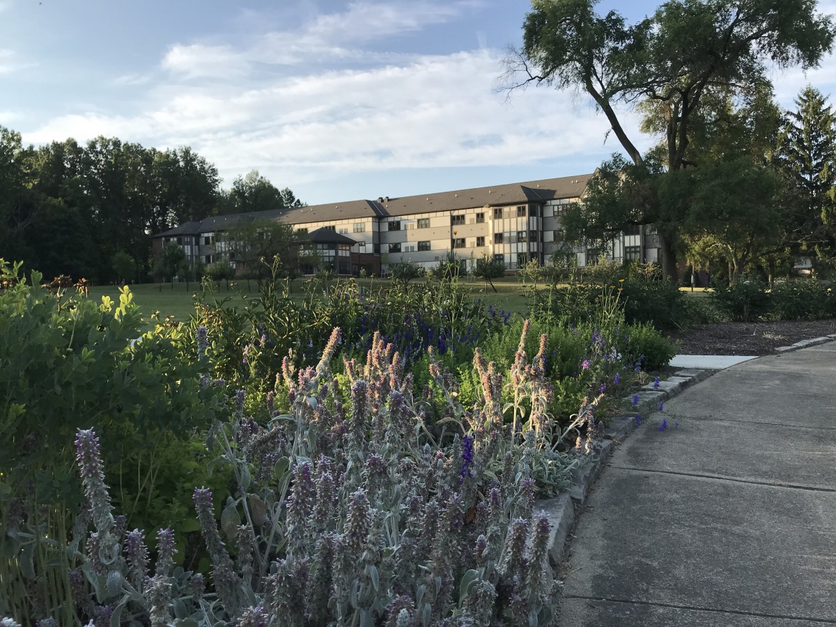A serene garden pathway leads to a large building, surrounded by lush greenery and trees.