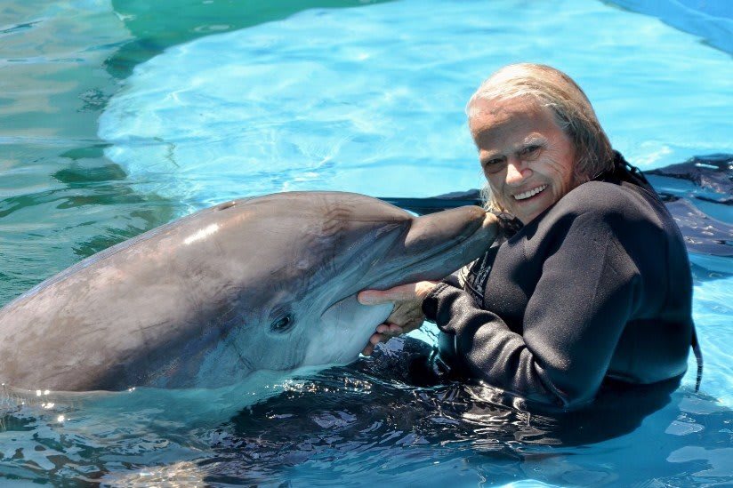 Person interacting with a dolphin in the water.