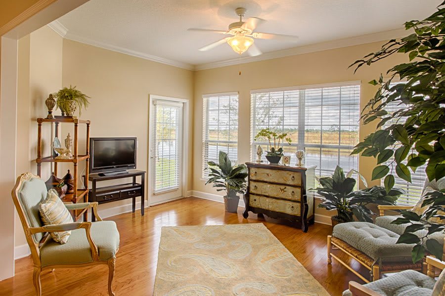 Cozy living room with hardwood floors, abundant natural light, and indoor plants.