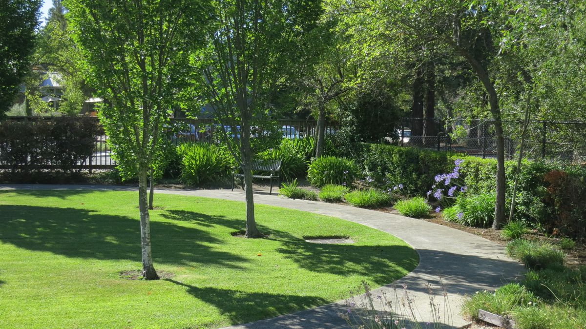 A serene park with a winding pathway, lush greenery, and a bench shaded by trees.