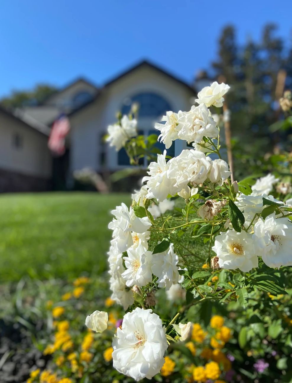 Madison Square Senior Living