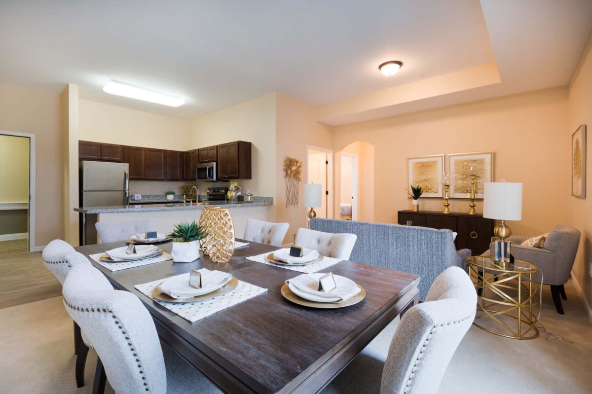 A modern open-plan dining and kitchen area with stylish furnishings.