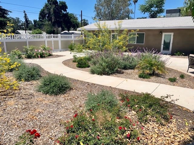A well-maintained garden featuring a variety of plants and a winding pathway leading to a house.