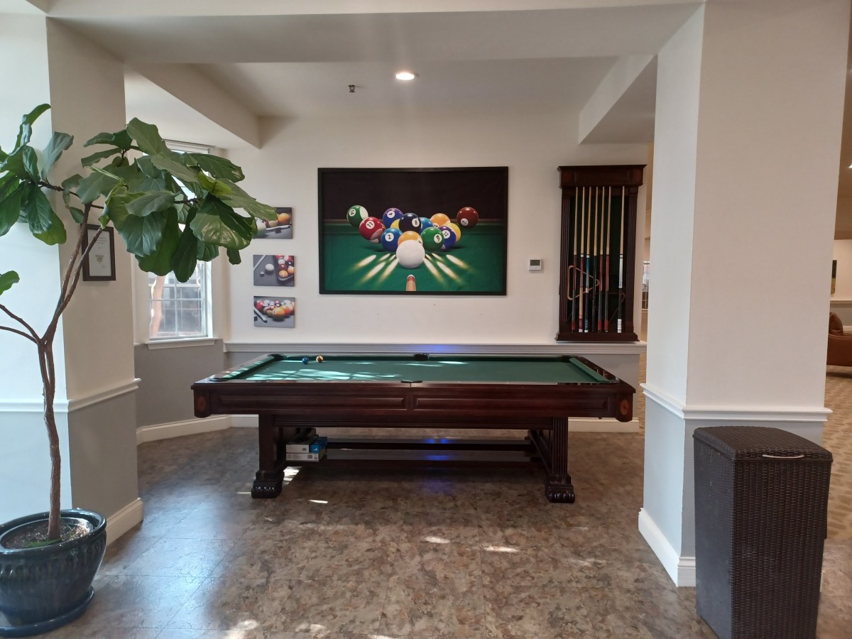 A stylish game room featuring a pool table and billiards-themed artwork.