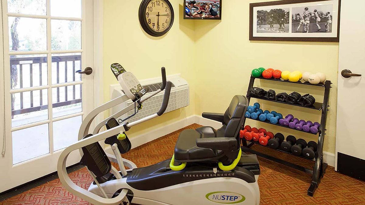 A small home gym featuring an exercise bike and a rack of colorful dumbbells.