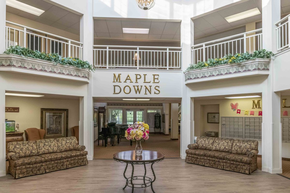 Holiday Maple Downs