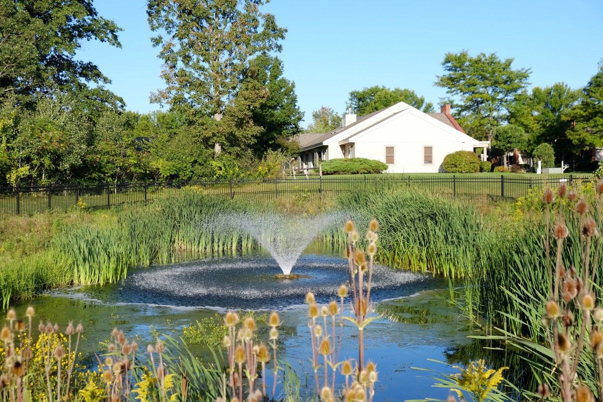 A serene garden pond with a fountain surrounded by lush greenery and a house in the background.